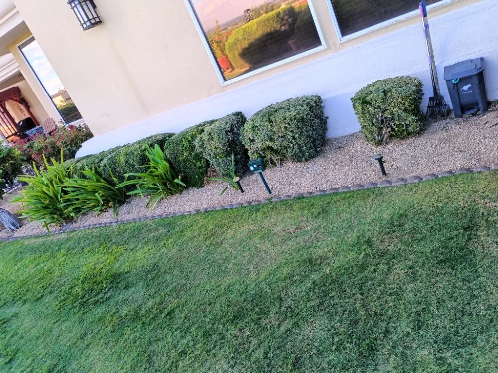 Trusted outdoor landscaping with custom design in Las Cruces, NM by NM Property Maintenance & Clean