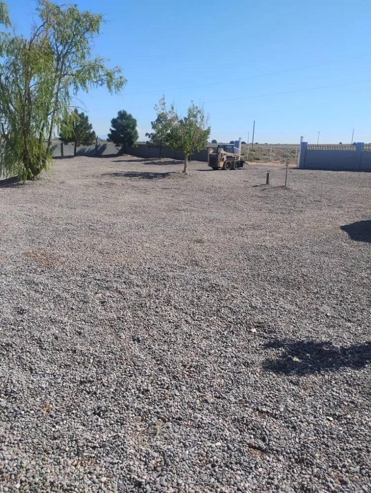 Professional yard maintenance in Las Cruces, NM by NM Property Maintenance & Clean
