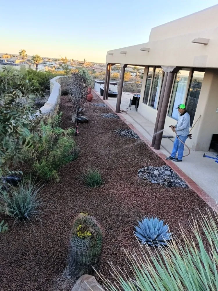 Professional residential landscaping experts serving Las Cruces, NM - NM Property Maintenance & Clean