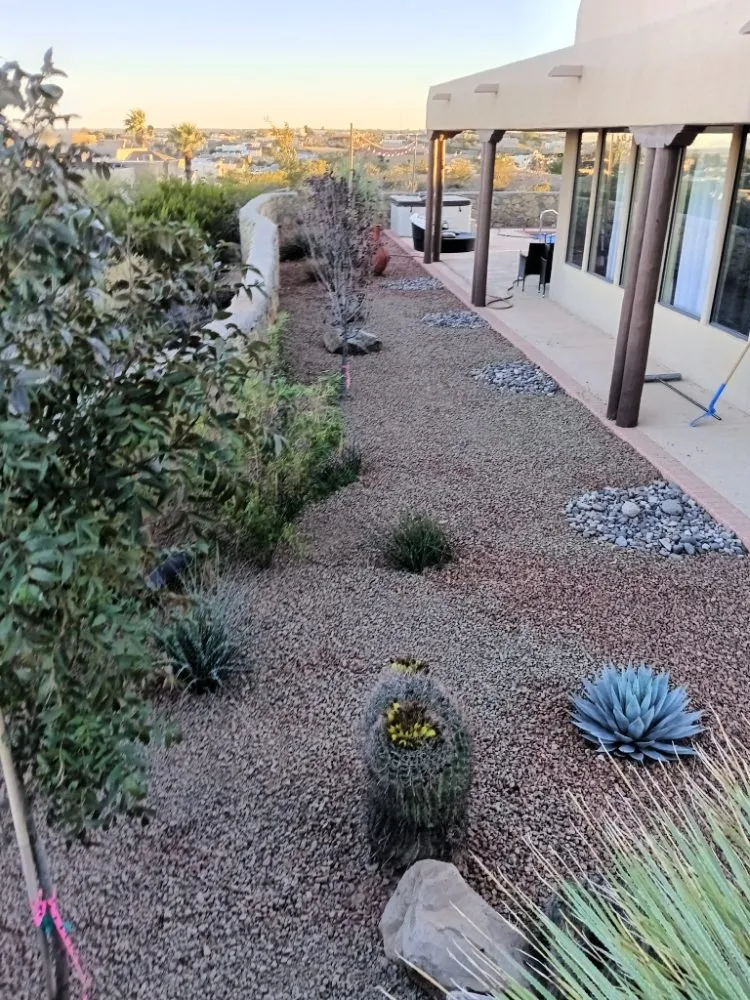 Custom landscaping services experts serving Las Cruces, NM - NM Property Maintenance & Clean