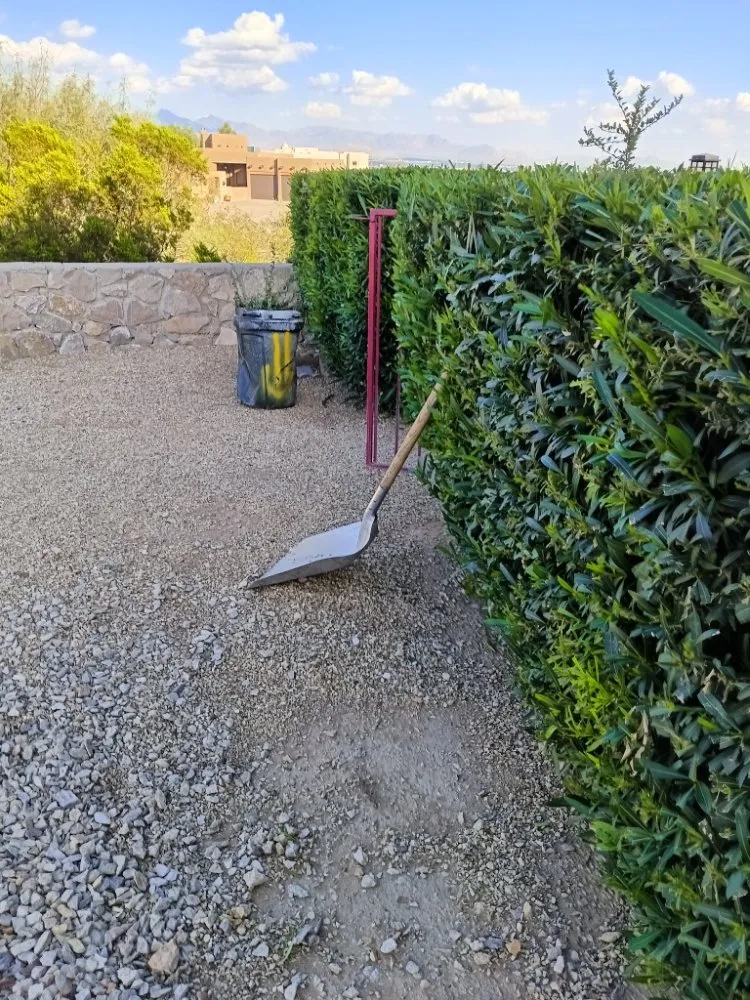 Reliable yard maintenance for homes in Las Cruces, NM by NM Property Maintenance & Clean