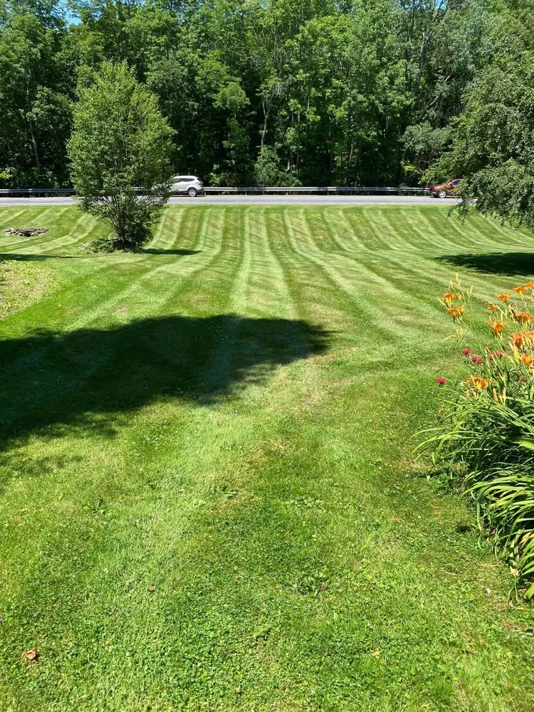 Local residential landscaping for residential properties in Delhi, NY by N&M Property Maintenance