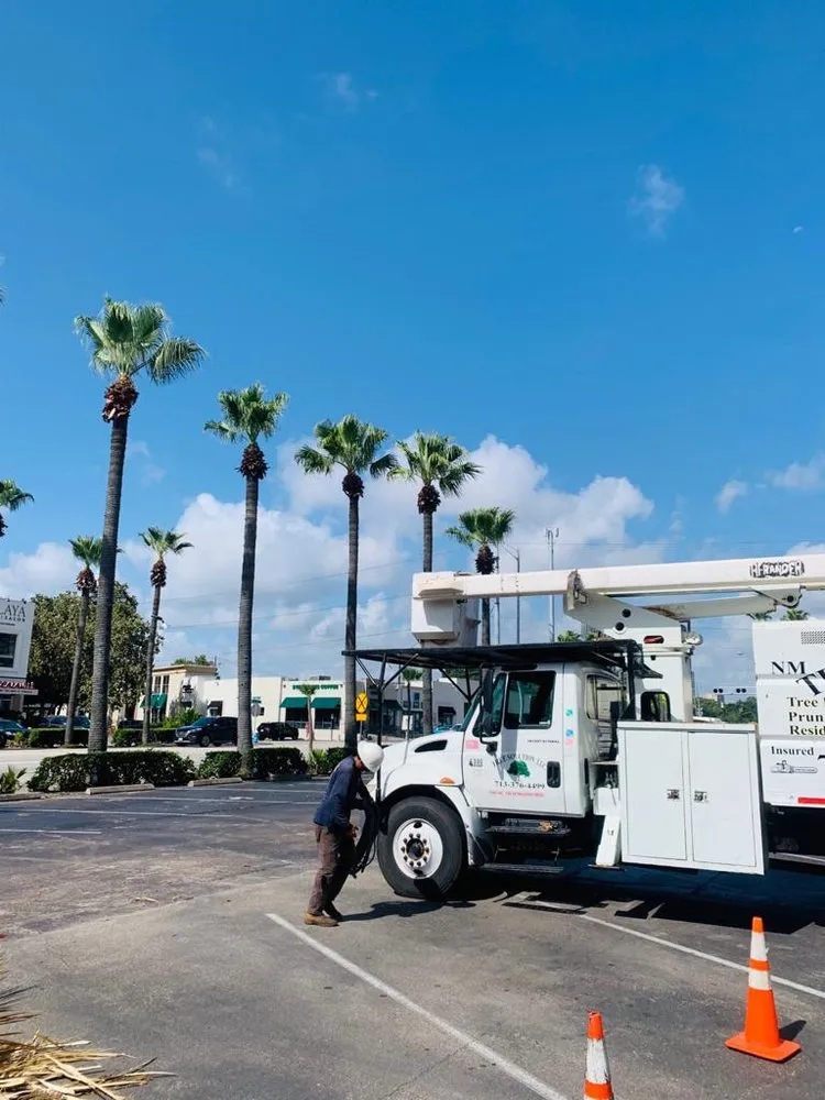Local residential landscaping in Houston, TX - Nm Tree Solution