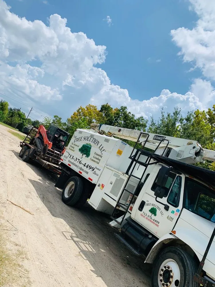 Trusted yard cleanup service experts serving Houston, TX - Nm Tree Solution