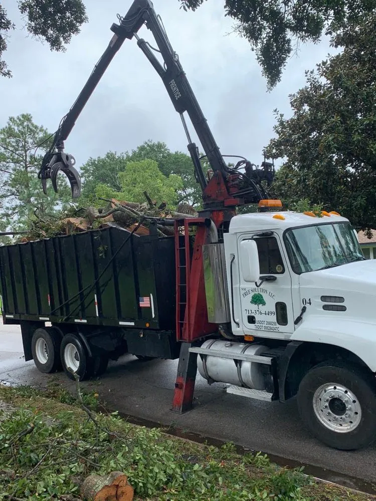 Top-rated lawn care service near you in Houston, TX by Nm Tree Solution