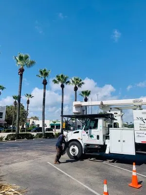 Nm Tree Solution Logo