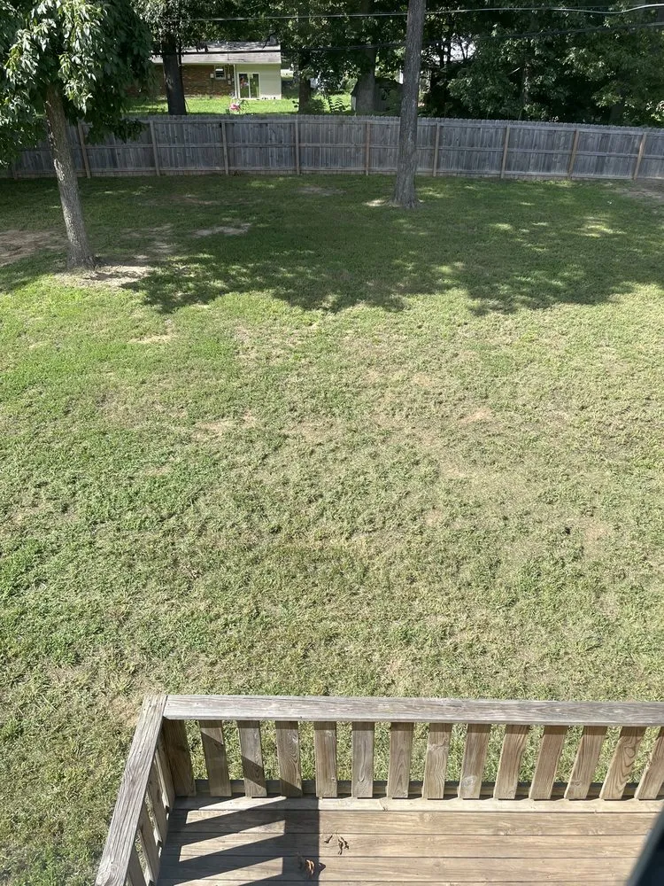 Custom yard cleanup service experts serving Murfreesboro, TN - Nmcr