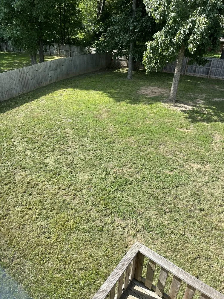 Affordable yard cleanup service in Murfreesboro, TN - Nmcr