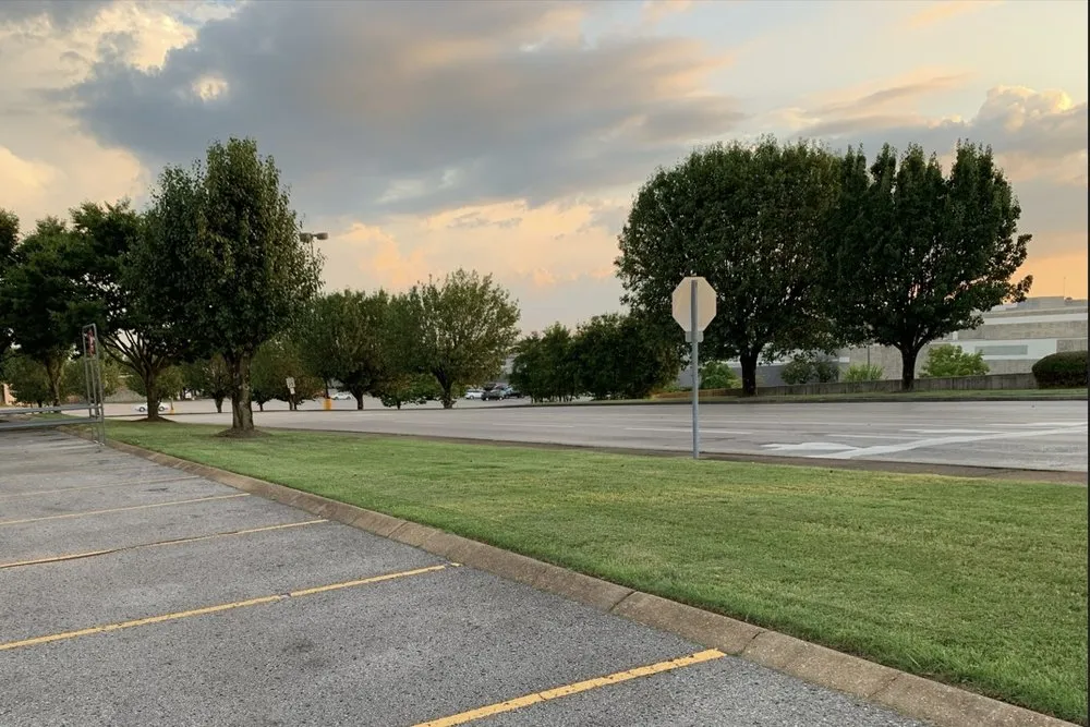 Reliable landscaping services in Murfreesboro, TN - Nmcr