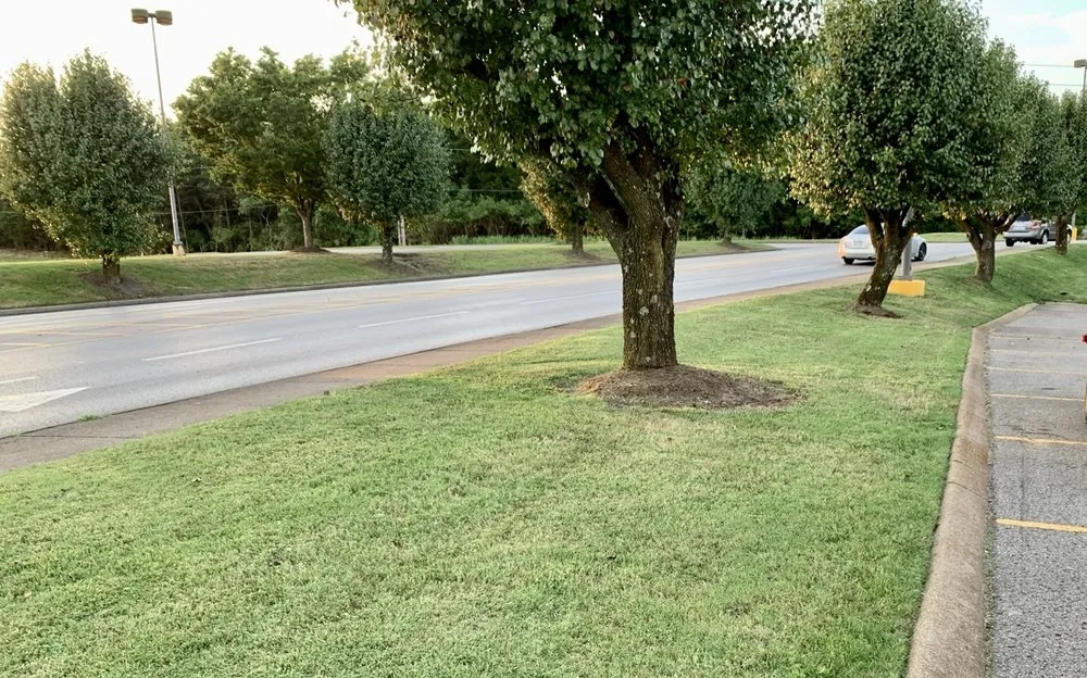 Local yard maintenance for outdoor upgrades across Murfreesboro, TN - Nmcr