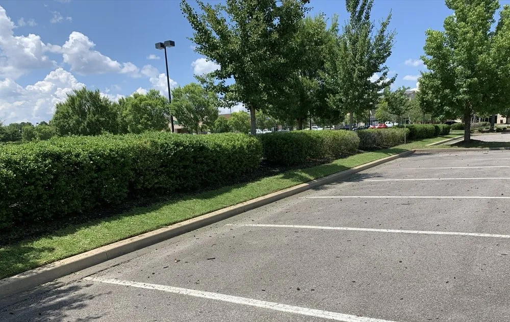 Expert yard cleanup service near you in Murfreesboro, TN by Nmcr