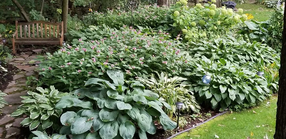 Local yard cleanup service near you across Bloomfield Hills, MI - NMK Landscaping