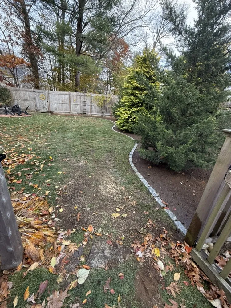 Affordable yard cleanup service in Lynn, MA by NMZ LANDSCAPING AND MASORY