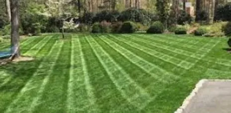 Reliable landscaping services experts serving Lynn, MA - NMZ LANDSCAPING AND MASORY