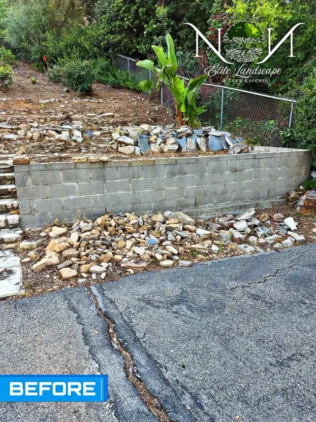 Professional landscaping services in Inglewood, CA by NN Elite Landscape & Tree Experts