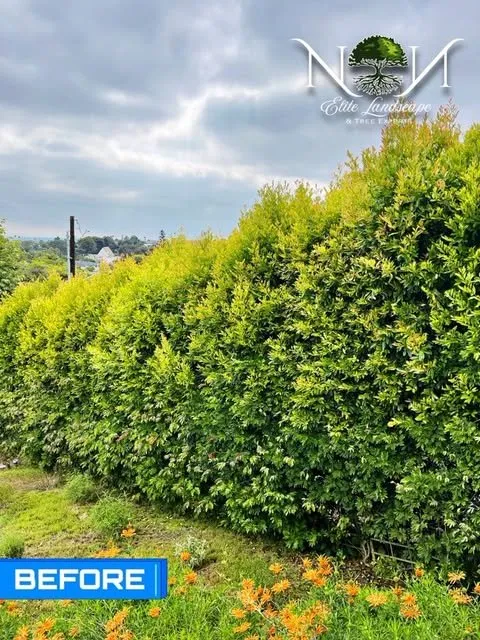 Custom lawn mowing service with custom design in Inglewood, CA by NN Elite Landscape & Tree Experts