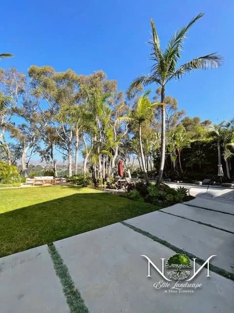 Expert landscape design experts serving Inglewood, CA - NN Elite Landscape & Tree Experts