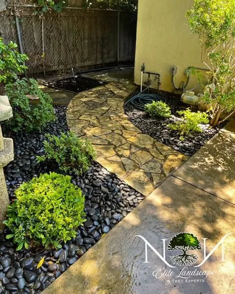Affordable landscape design in Inglewood, CA - NN Elite Landscape & Tree Experts