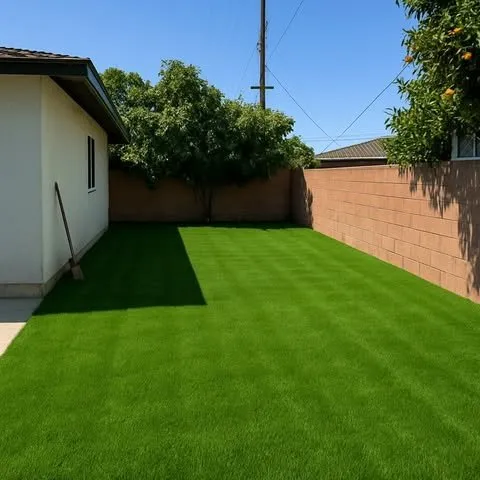 Trusted yard cleanup service experts serving Inglewood, CA - NN Elite Landscape & Tree Experts