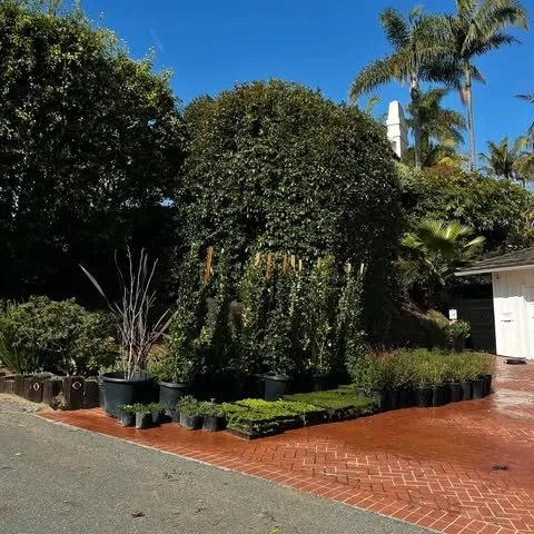 Affordable landscaping services near you across Inglewood, CA - NN Elite Landscape & Tree Experts