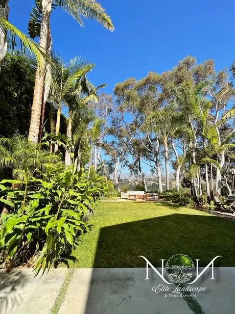 Affordable residential landscaping in Inglewood, CA by NN Elite Landscape & Tree Experts