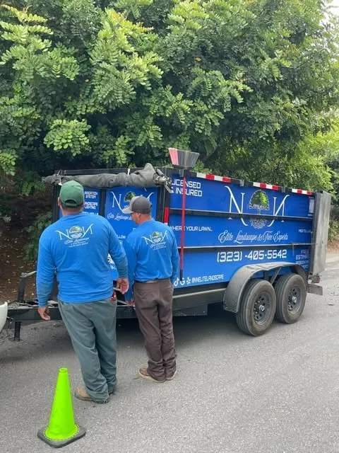 Reliable landscaping services in Inglewood, CA - NN Elite Landscape & Tree Experts