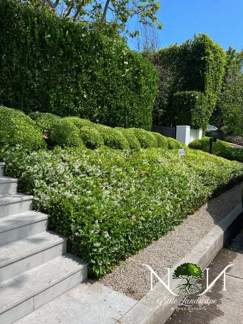 Expert garden landscaping in Inglewood, CA - NN Elite Landscape & Tree Experts