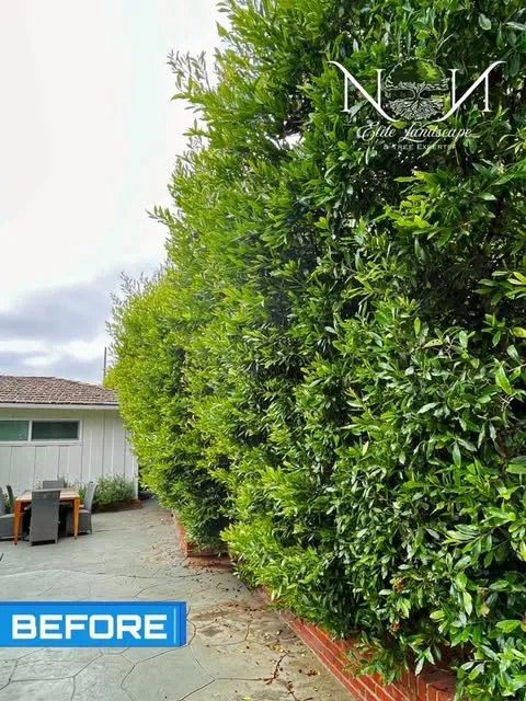 Trusted landscape installation near you across Inglewood, CA - NN Elite Landscape & Tree Experts