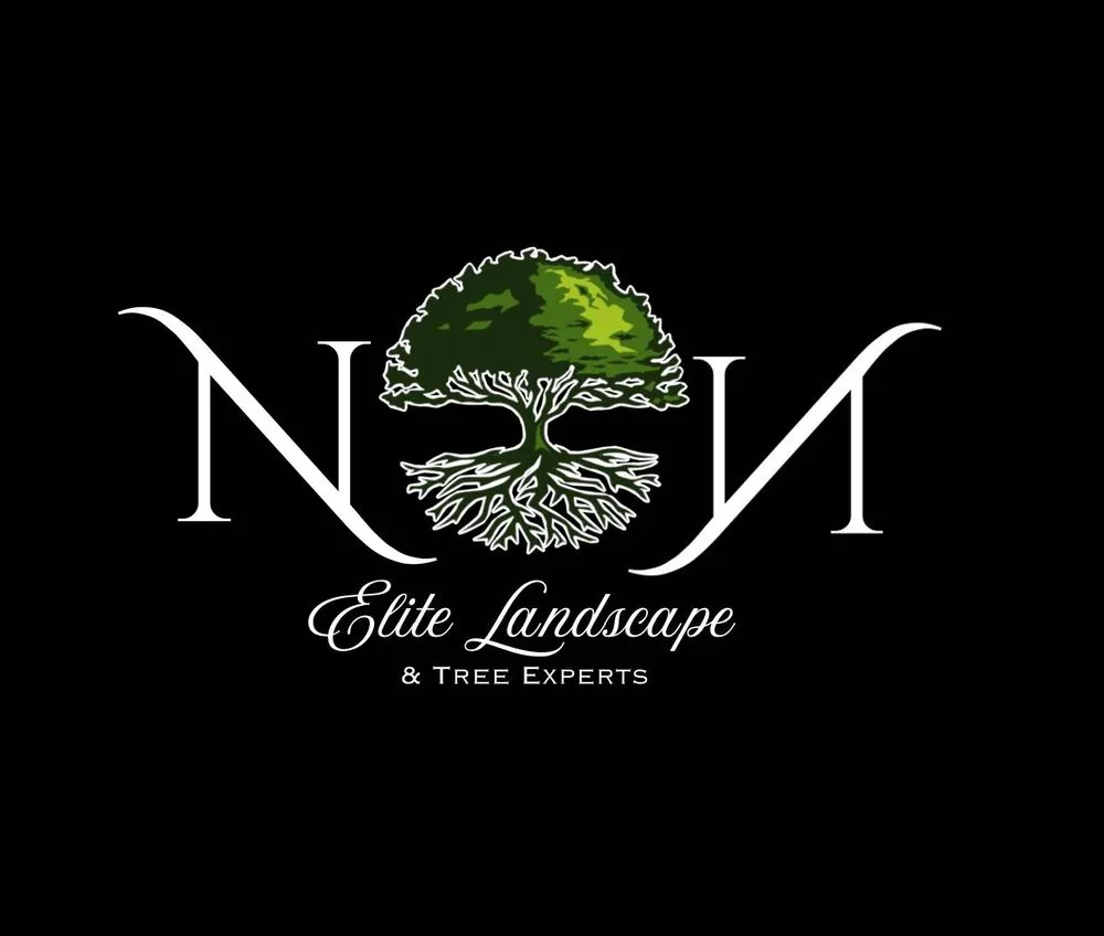 Professional outdoor landscaping in Inglewood, CA by NN Elite Landscape & Tree Experts