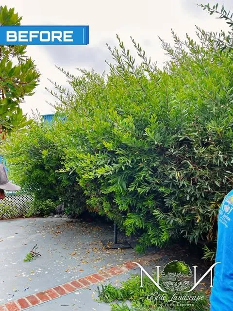 Local garden landscaping experts serving Inglewood, CA - NN Elite Landscape & Tree Experts