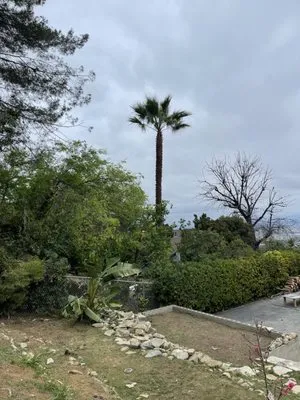 NN Elite Landscape & Tree Experts