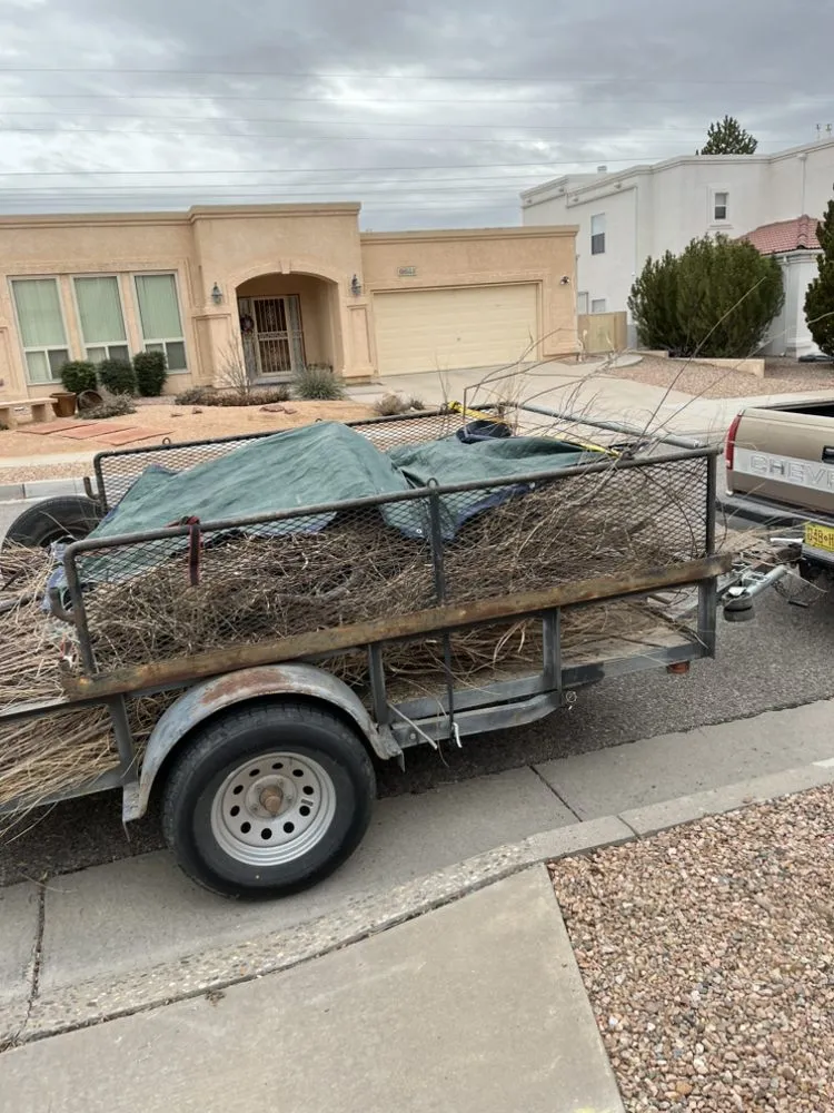 Trusted lawn care service in Albuquerque, NM - N&N Junk Removal