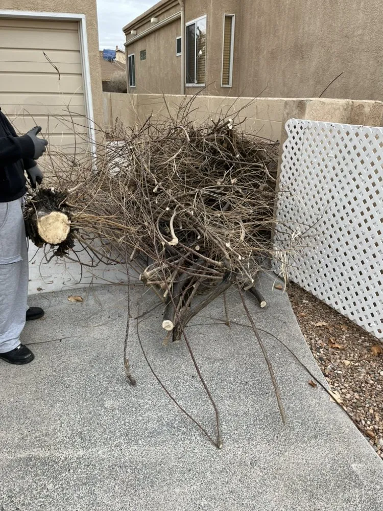 Top-rated landscape installation in Albuquerque, NM - N&N Junk Removal