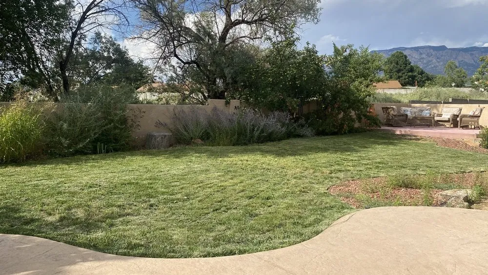 Top-rated yard cleanup service for outdoor upgrades in Albuquerque, NM by N&N Junk Removal