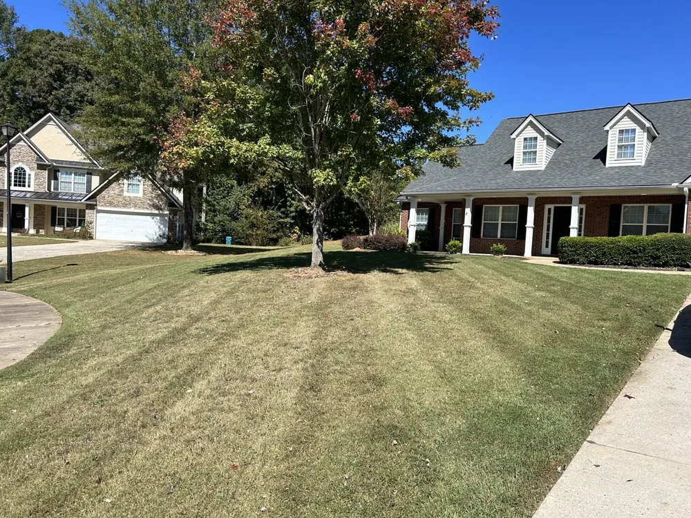 Professional landscape installation for outdoor upgrades across Hampton, GA - NN Landscaping