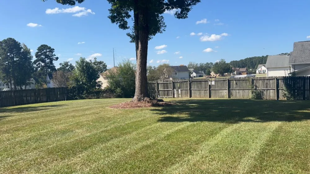 Expert lawn care service in Hampton, GA by NN Landscaping