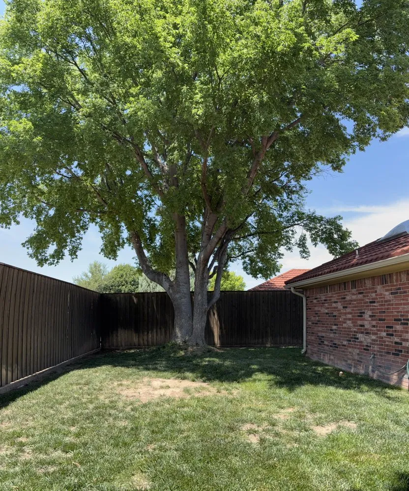 Custom landscape design experts serving Amarillo, TX - N&N Outdoor Services