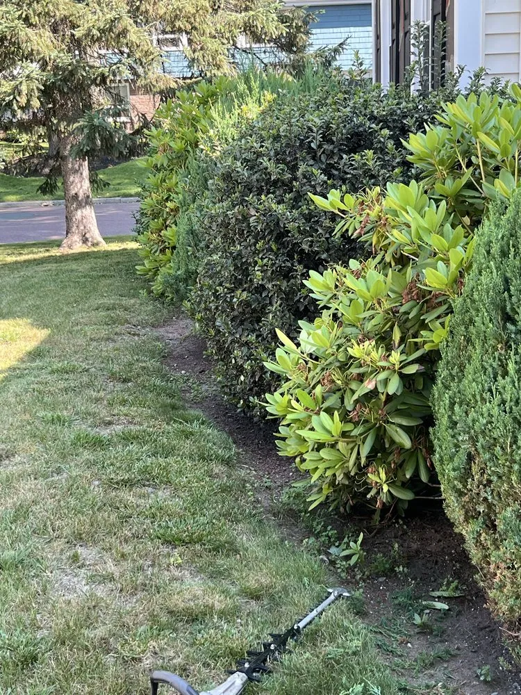 Professional yard maintenance in Lynn, MA - NN Tree Service and Landscaping