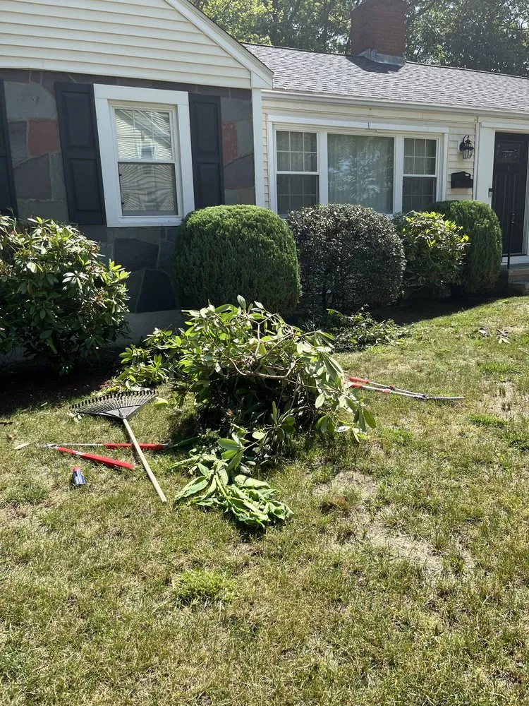 Professional residential landscaping in Lynn, MA - NN Tree Service and Landscaping