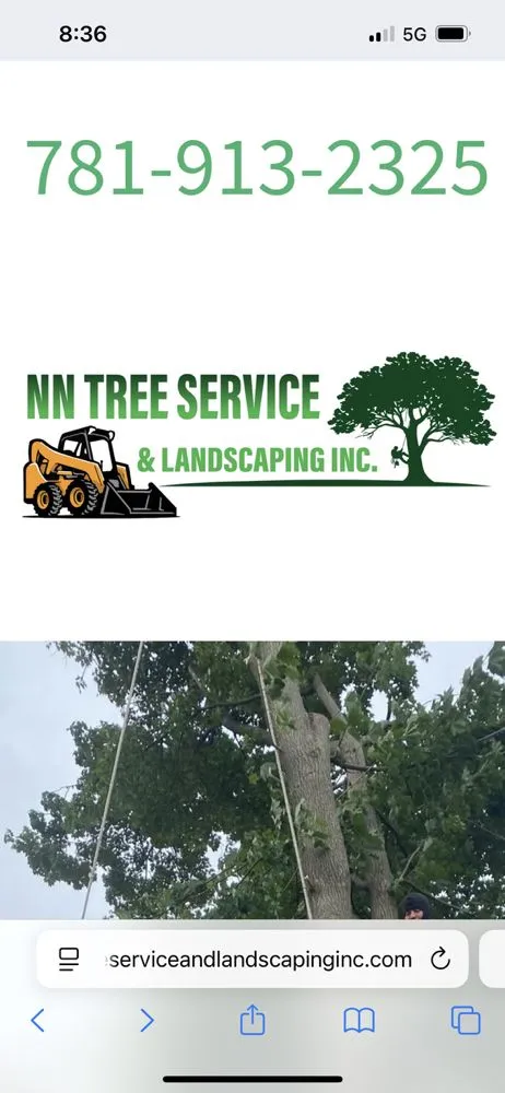 Top-rated landscaping services experts serving Lynn, MA - NN Tree Service and Landscaping