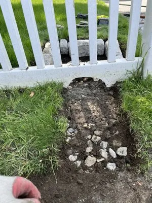 NN Tree Service and Landscaping Logo