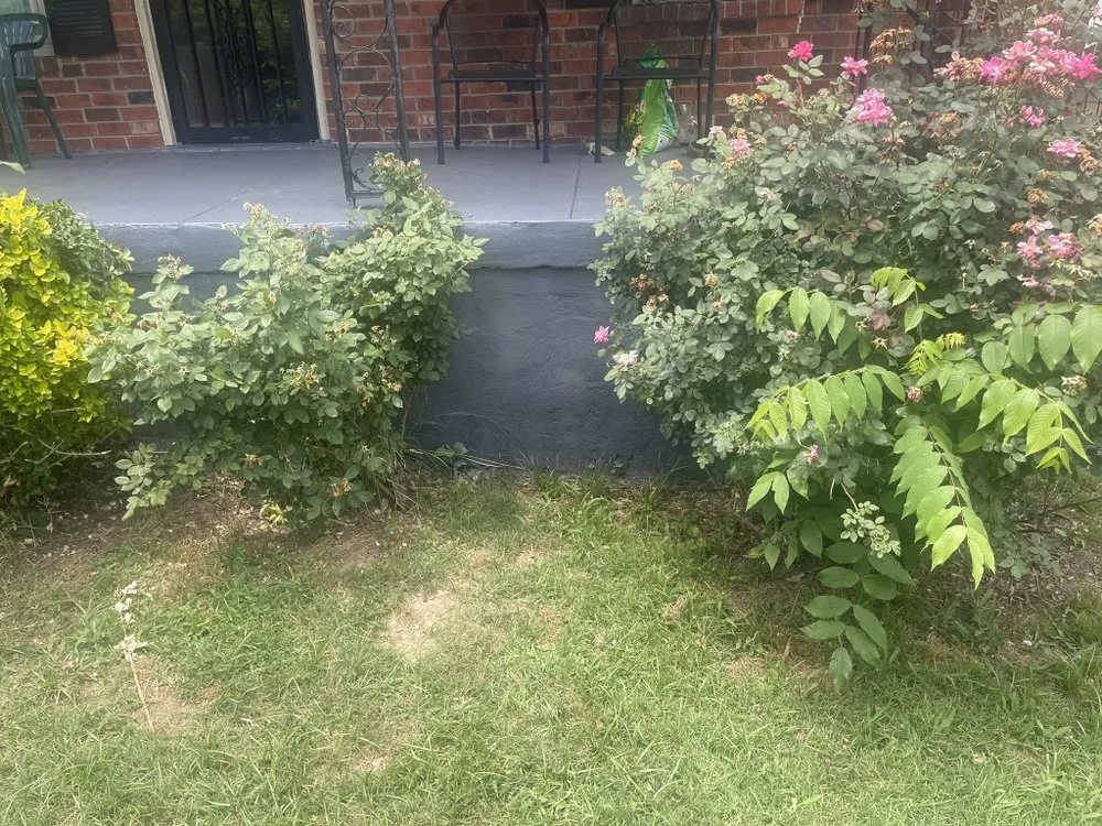 Local outdoor landscaping in Memphis, TN by N&N Works