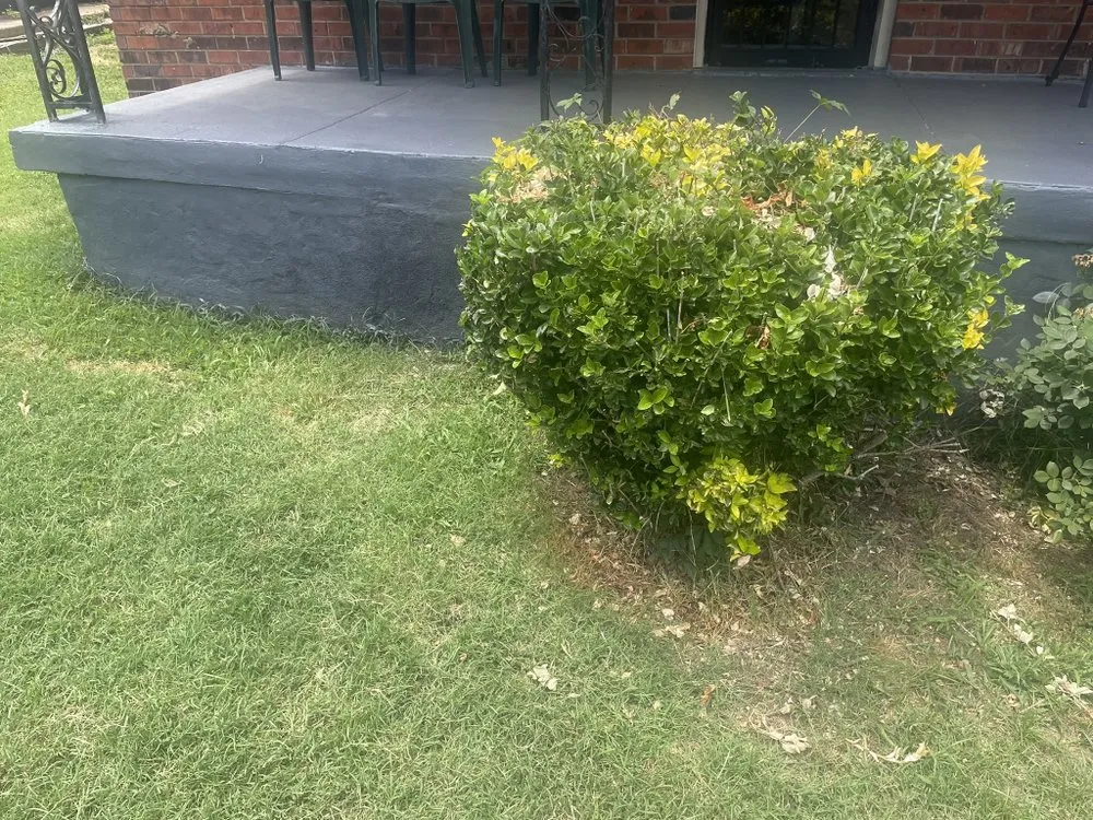 Affordable residential landscaping in Memphis, TN by N&N Works