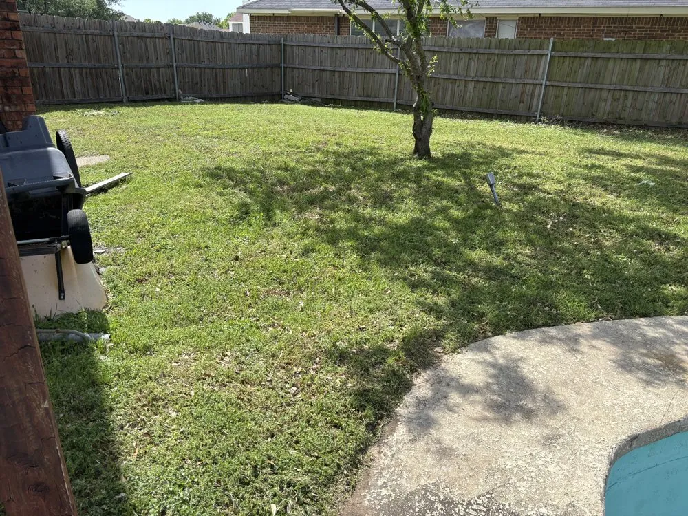 Trusted landscape design experts serving Fort Worth, TX - No Carbon Lawn