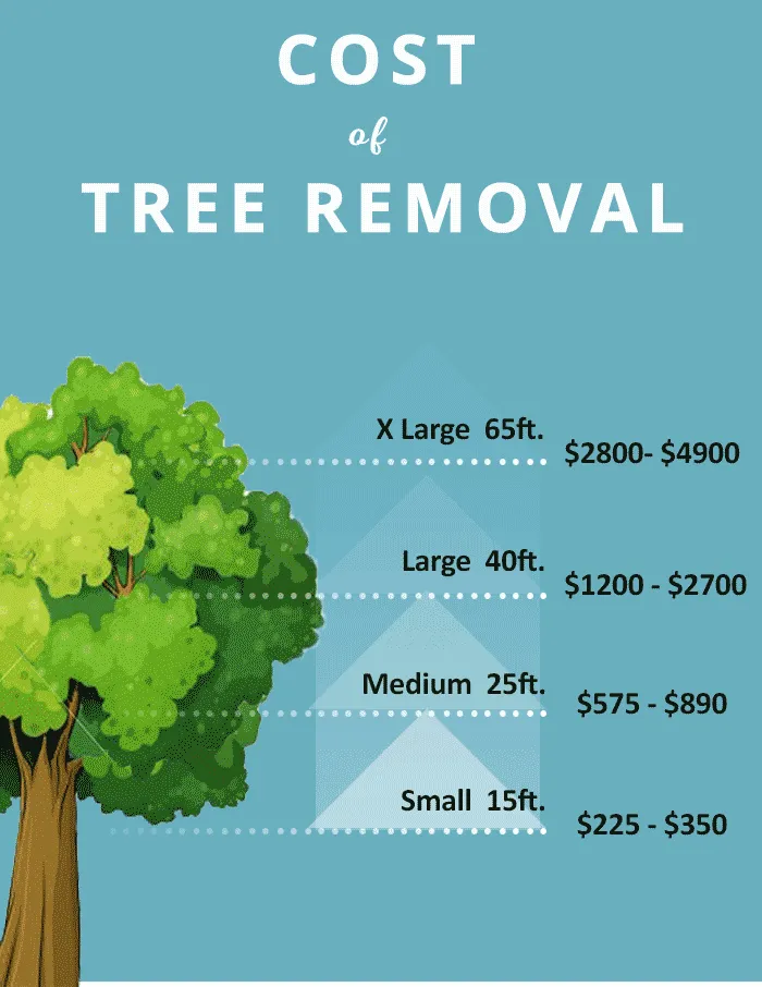 Trusted garden landscaping experts serving Lexington, SC - No Excuses Tree Service and Landscaping