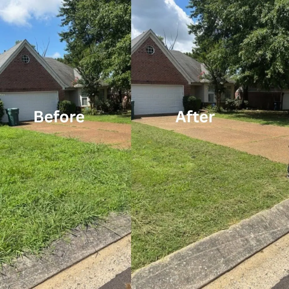 Reliable lawn care service for outdoor upgrades in Southaven, MS by No Frills Mowing