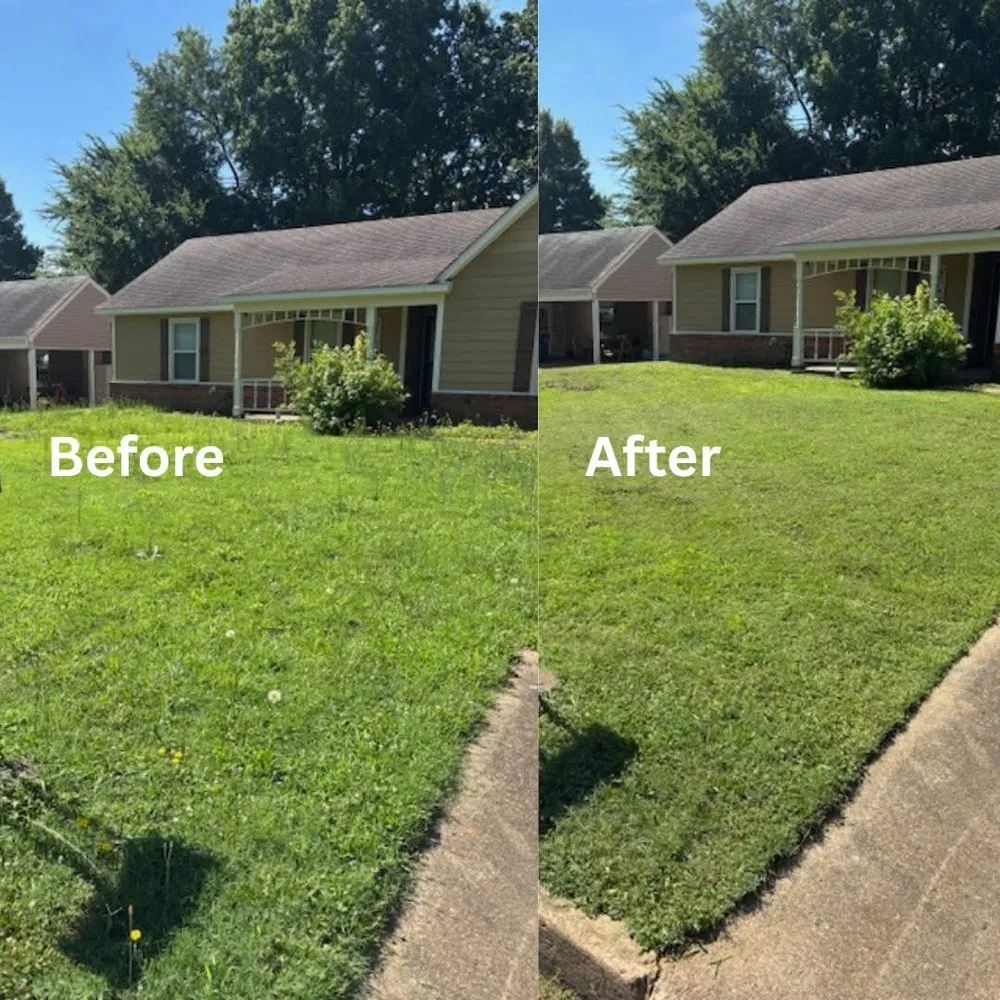 Top-rated yard cleanup service for year-round maintenance across Southaven, MS - No Frills Mowing