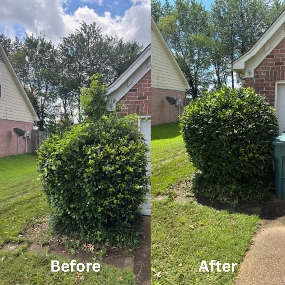 Reliable lawn care service with custom design in Southaven, MS by No Frills Mowing