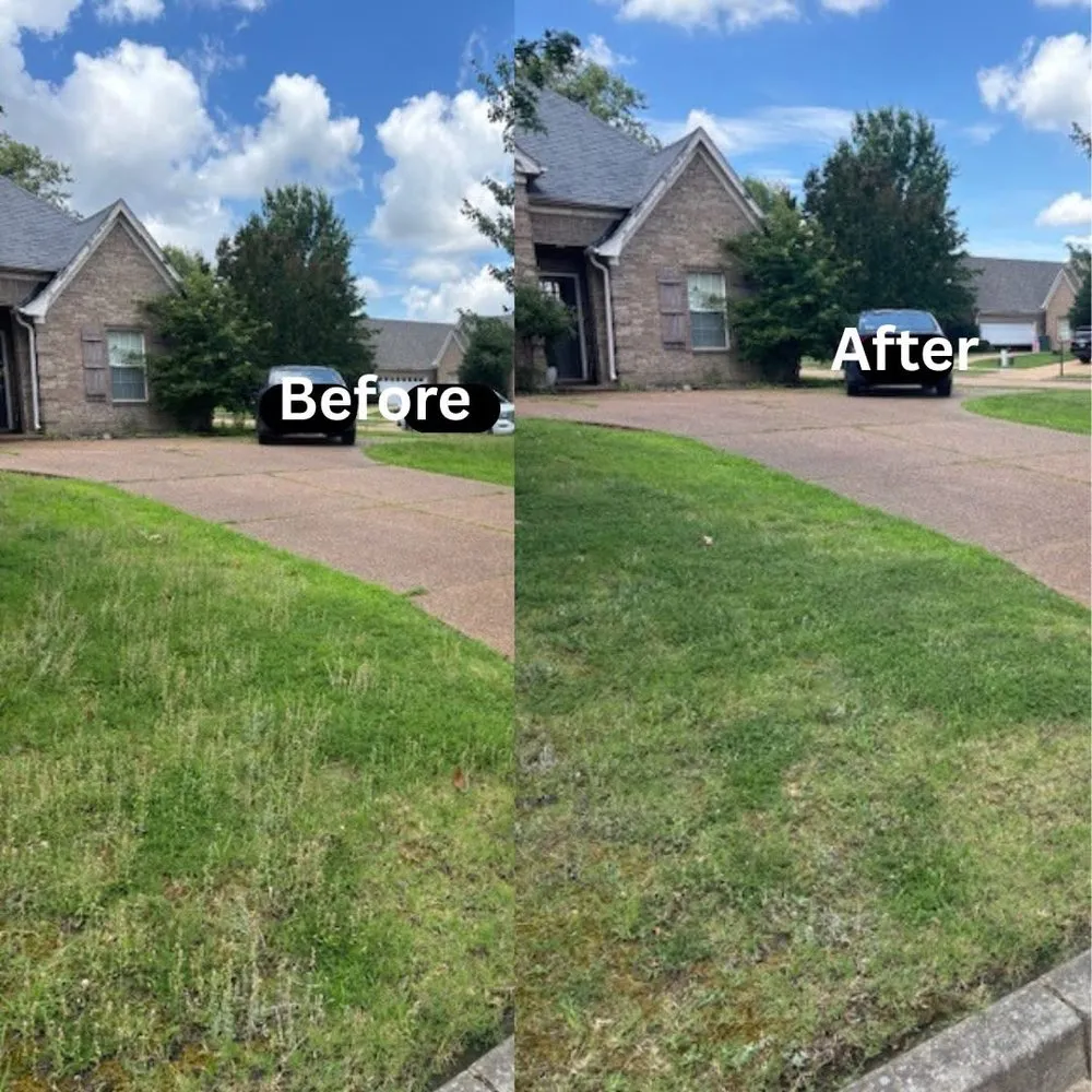 Custom yard cleanup service in Southaven, MS - No Frills Mowing