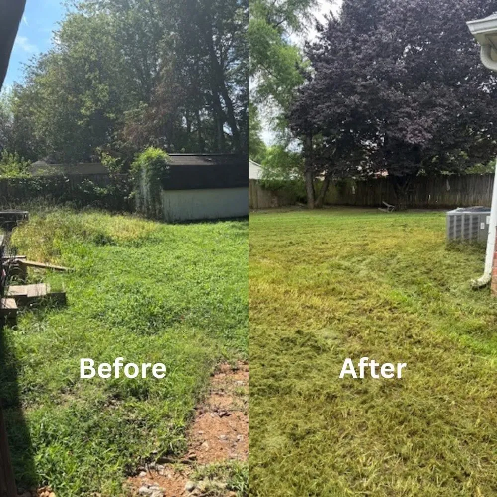 Custom landscape installation for outdoor upgrades in Southaven, MS by No Frills Mowing